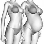 Evidencia del creciemiento de la panza y senos durante el embarazo.