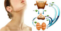 Hypothyroidism