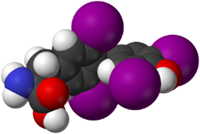 T4 molecule