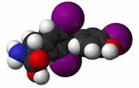 T3 - Triodothyronine